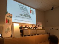Expo apertura  2  240